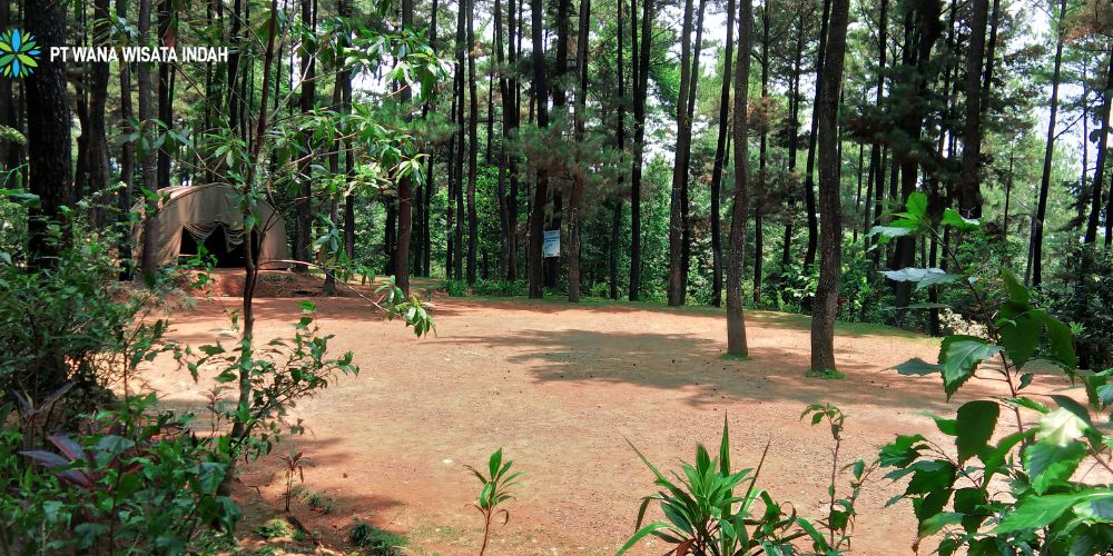 Lembah Hijau (Ground C)