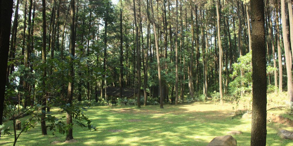 Lembah Pakis (Ground D)