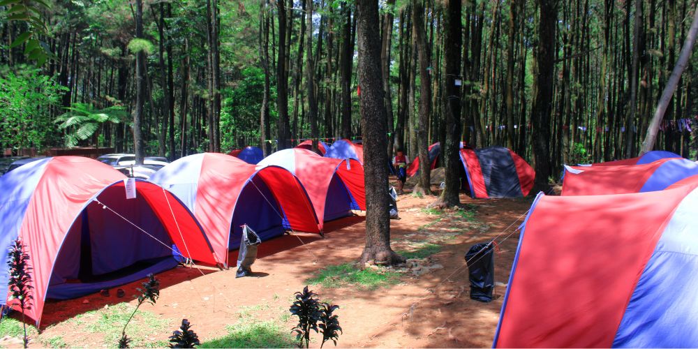 Pancar Camp